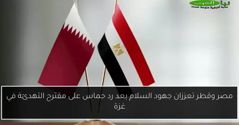 مصر وقطر تعززان جهود السلام بعد رد حماس على مقترح التهدئة في غزة