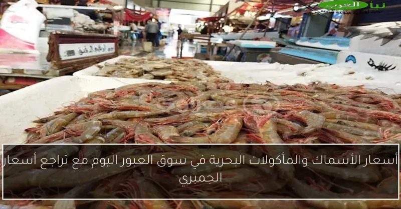 أسعار الأسماك والمأكولات البحرية في سوق العبور اليوم مع تراجع أسعار الجمبري