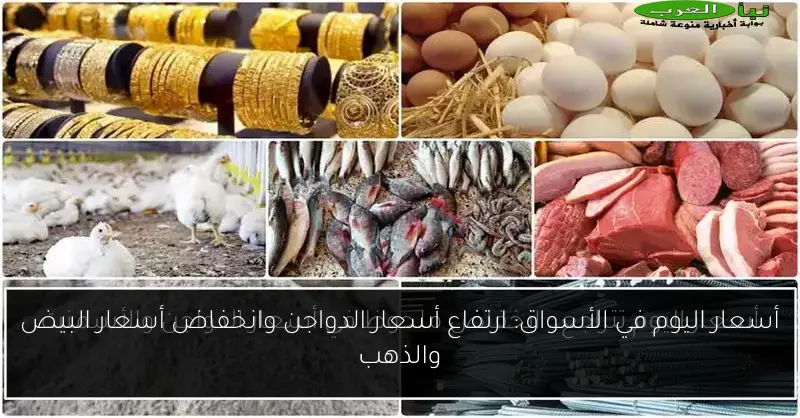 أسعار اليوم في الأسواق: ارتفاع أسعار الدواجن وانخفاض أسعار البيض والذهب