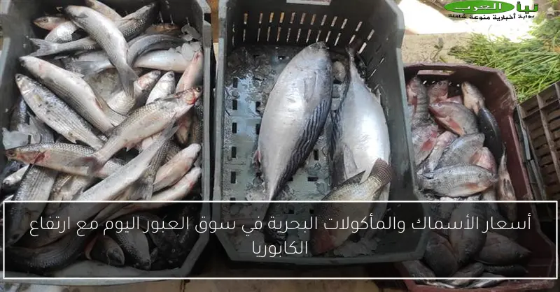 أسعار الأسماك والمأكولات البحرية في سوق العبور اليوم مع ارتفاع الكابوريا