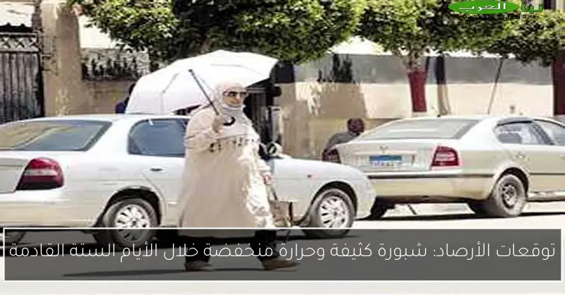 توقعات الأرصاد: شبورة كثيفة وحرارة منخفضة خلال الأيام الستة القادمة