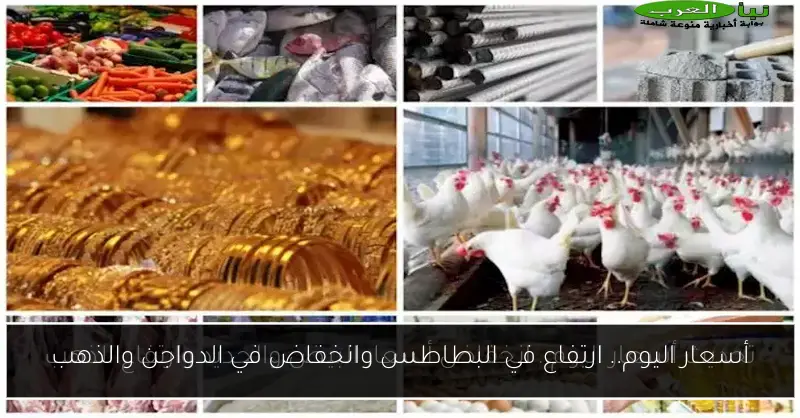أسعار اليوم.. ارتفاع في البطاطس وانخفاض في الدواجن والذهب