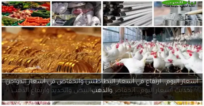 أسعار اليوم.. ارتفاع في أسعار البطاطس وانخفاض في أسعار الدواجن والذهب
