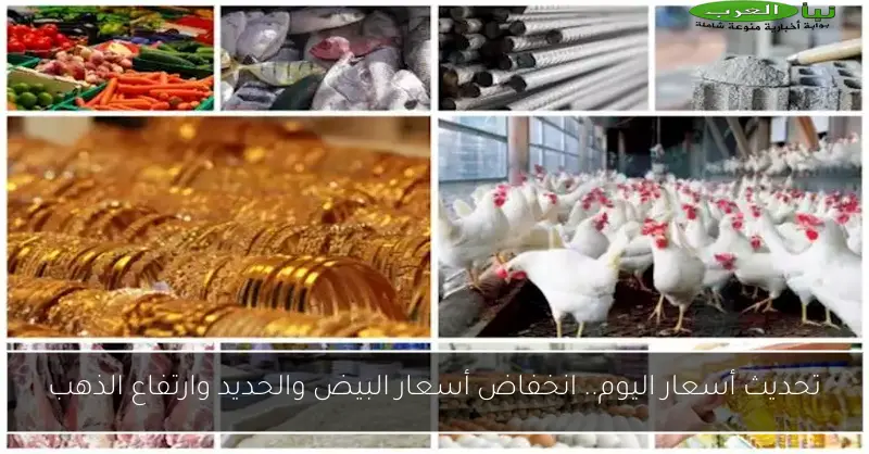 تحديث أسعار اليوم.. انخفاض أسعار البيض والحديد وارتفاع الذهب