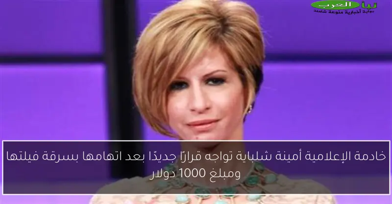 خادمة الإعلامية أمينة شلباية تواجه قرارًا جديدًا بعد اتهامها بسرقة فيلتها ومبلغ 1000 دولار