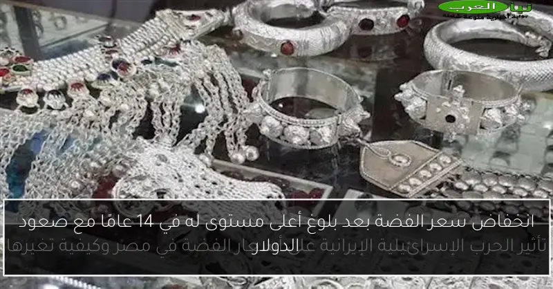 انخفاض سعر الفضة بعد بلوغ أعلى مستوى له في 14 عامًا مع صعود الدولار