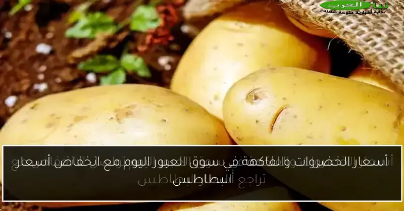 أسعار الخضروات والفاكهة في سوق العبور اليوم مع انخفاض أسعار البطاطس
