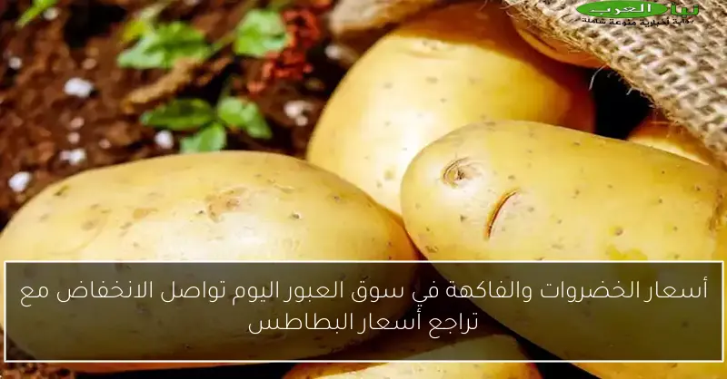 أسعار الخضروات والفاكهة في سوق العبور اليوم تواصل الانخفاض مع تراجع أسعار البطاطس
