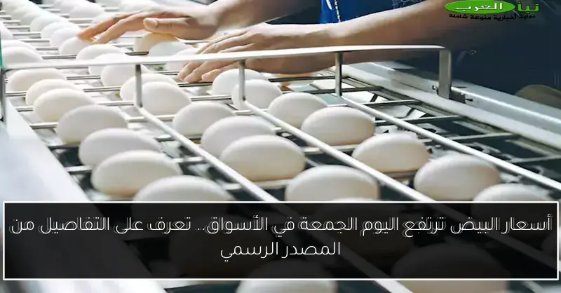 أسعار البيض ترتفع اليوم الجمعة في الأسواق.. تعرف على التفاصيل من المصدر الرسمي