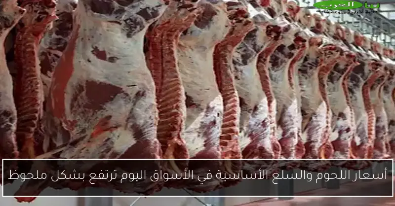 أسعار اللحوم والسلع الأساسية في الأسواق اليوم ترتفع بشكل ملحوظ