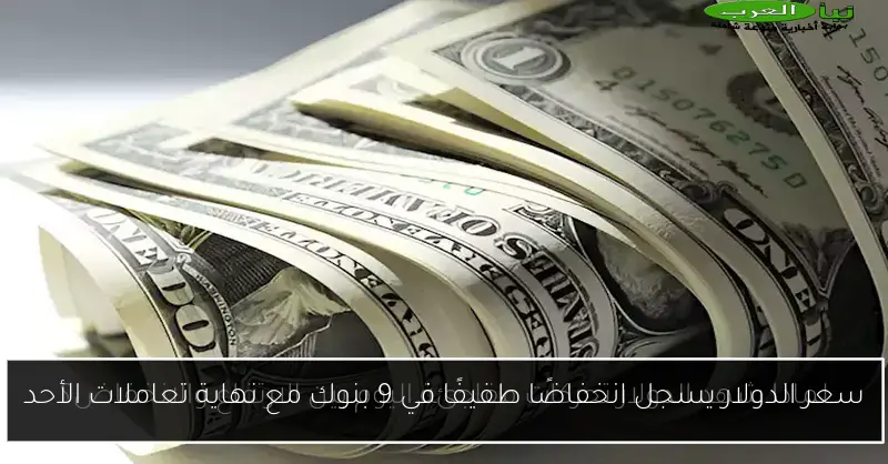 سعر الدولار يسجل انخفاضًا طفيفًا في 9 بنوك مع نهاية تعاملات الأحد