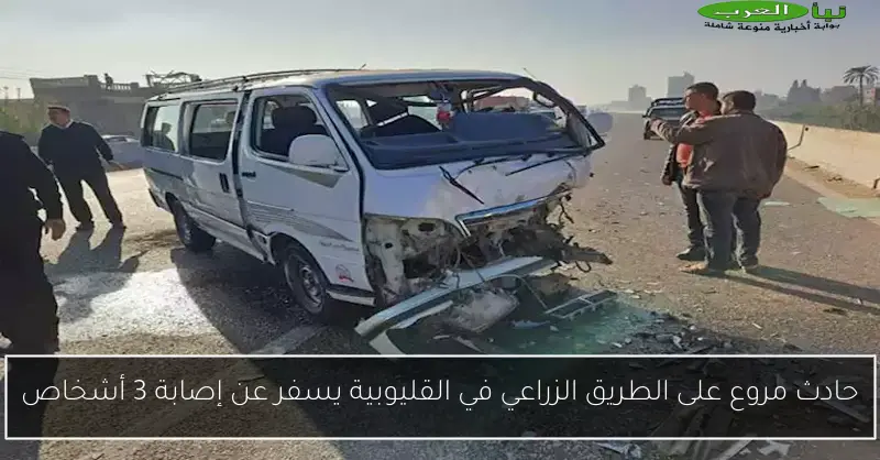 حادث مروع على الطريق الزراعي في القليوبية يسفر عن إصابة 3 أشخاص