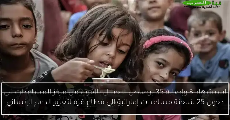 دخول 25 شاحنة مساعدات إماراتية إلى قطاع غزة لتعزيز الدعم الإنساني