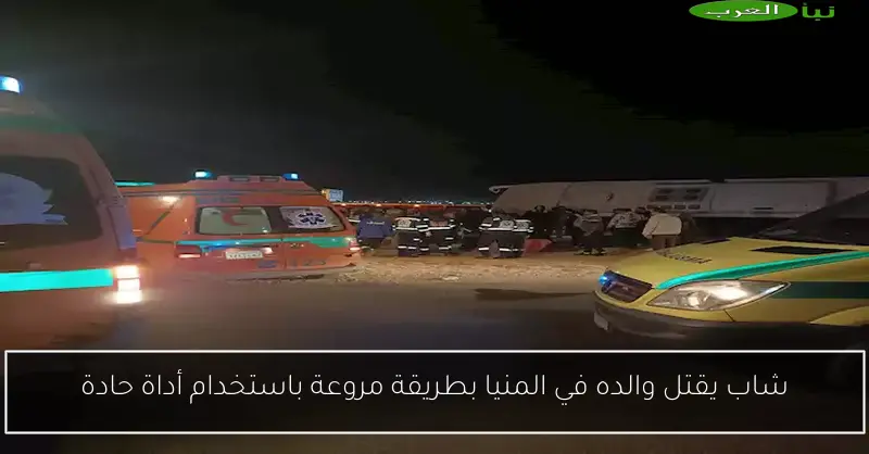 شاب يقتل والده في المنيا بطريقة مروعة باستخدام أداة حادة