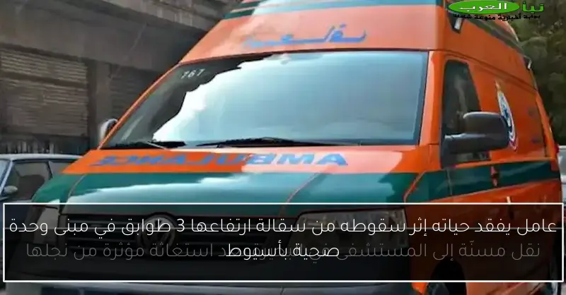 عامل يفقد حياته إثر سقوطه من سقالة ارتفاعها 3 طوابق في مبنى وحدة صحية بأسيوط