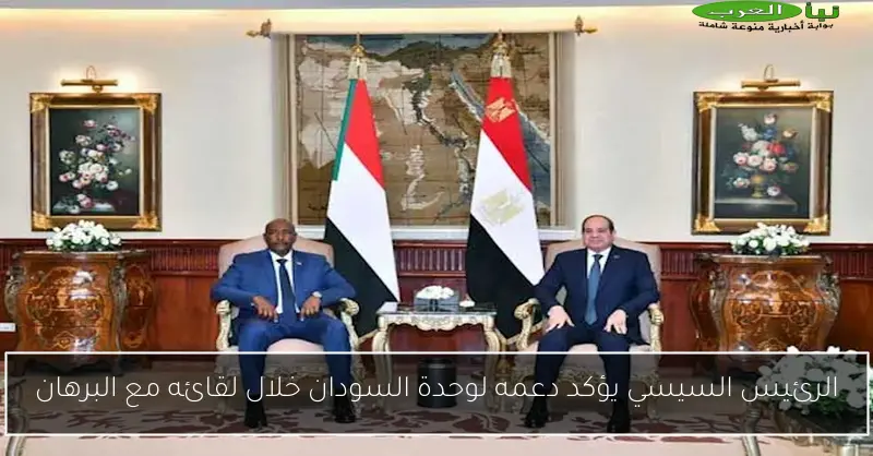 الرئيس السيسي يؤكد دعمه لوحدة السودان خلال لقائه مع البرهان