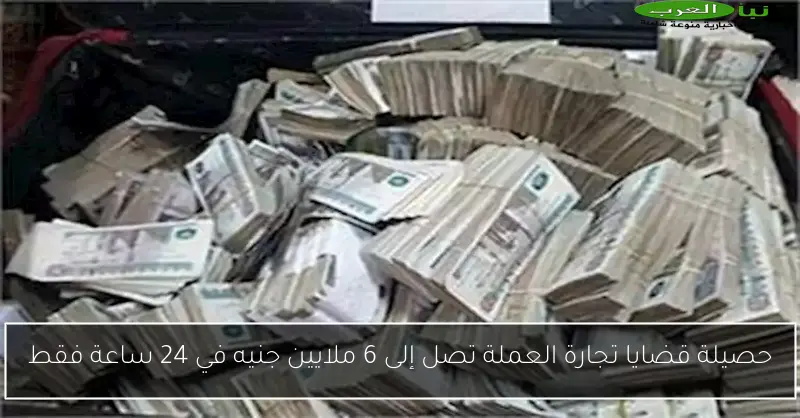 حصيلة قضايا تجارة العملة تصل إلى 6 ملايين جنيه في 24 ساعة فقط