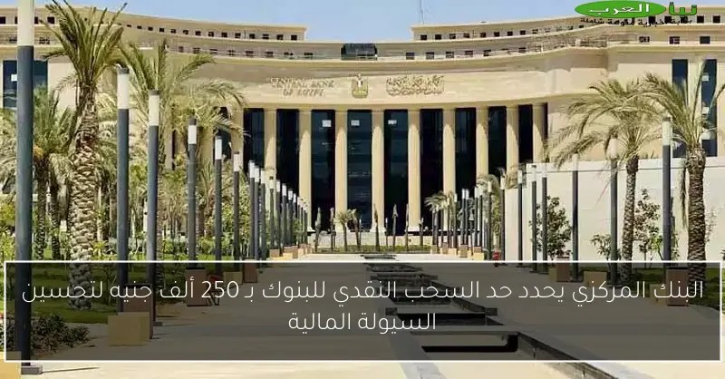 البنك المركزي يحدد حد السحب النقدي للبنوك بـ 250 ألف جنيه لتحسين السيولة المالية