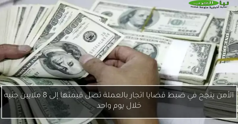 الأمن ينجح في ضبط قضايا اتجار بالعملة تصل قيمتها إلى 8 ملايين جنيه خلال يوم واحد