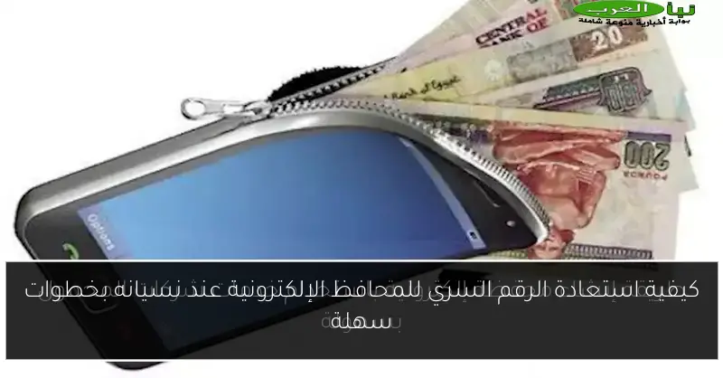 كيفية استعادة الرقم السري للمحافظ الإلكترونية عند نسيانه بخطوات سهلة