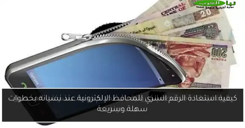 كيفية استعادة الرقم السري للمحافظ الإلكترونية عند نسيانه بخطوات سهلة وسريعة