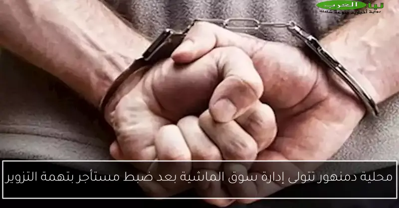 محلية دمنهور تتولى إدارة سوق الماشية بعد ضبط مستأجر بتهمة التزوير