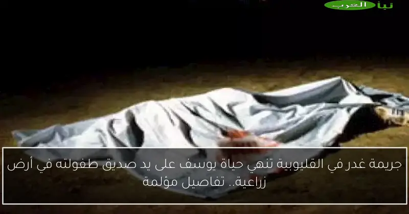 جريمة غدر في القليوبية تنهي حياة يوسف على يد صديق طفولته في أرض زراعية.. تفاصيل مؤلمة