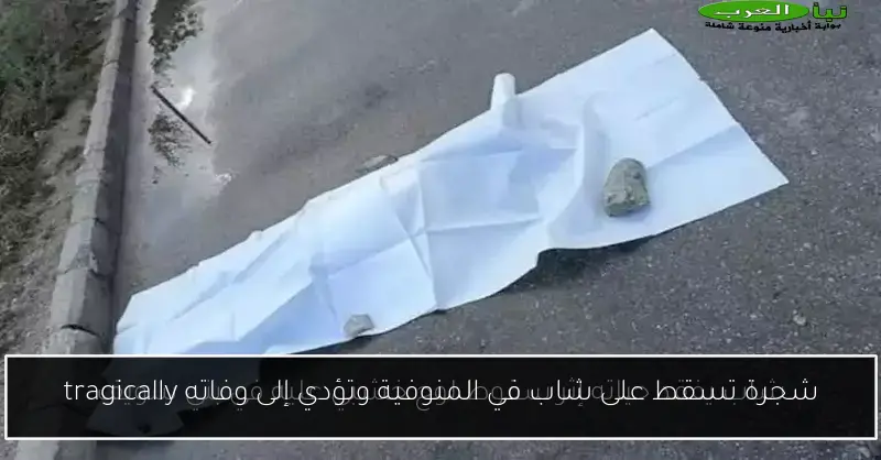 شجرة تسقط على شاب في المنوفية وتؤدي إلى وفاته tragically