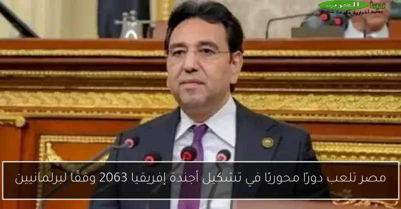 مصر تلعب دورًا محوريًا في تشكيل أجندة إفريقيا 2063 وفقًا لبرلمانيين