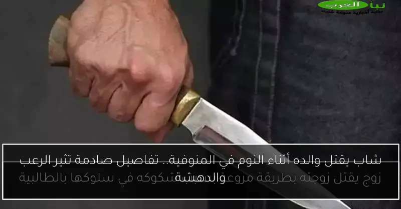 شاب يقتل والده أثناء النوم في المنوفية.. تفاصيل صادمة تثير الرعب والدهشة