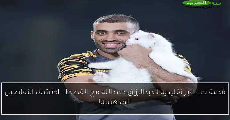 قصة حب غير تقليدية لعبدالرزاق حمدالله مع القطط.. اكتشف التفاصيل المدهشة!