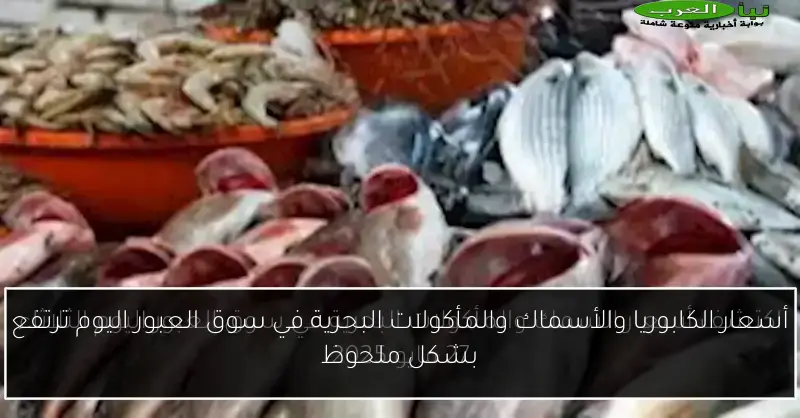 أسعار الكابوريا والأسماك والمأكولات البحرية في سوق العبور اليوم ترتفع بشكل ملحوظ