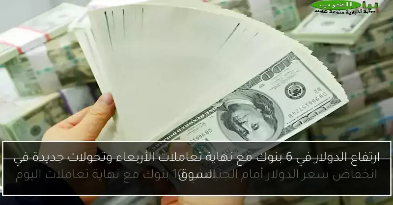 ارتفاع الدولار في 6 بنوك مع نهاية تعاملات الأربعاء وتحولات جديدة في السوق