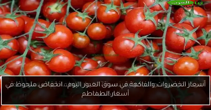 أسعار الخضروات والفاكهة في سوق العبور اليوم.. انخفاض ملحوظ في أسعار الطماطم