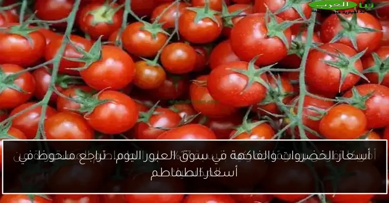 أسعار الخضروات والفاكهة في سوق العبور اليوم.. تراجع ملحوظ في أسعار الطماطم
