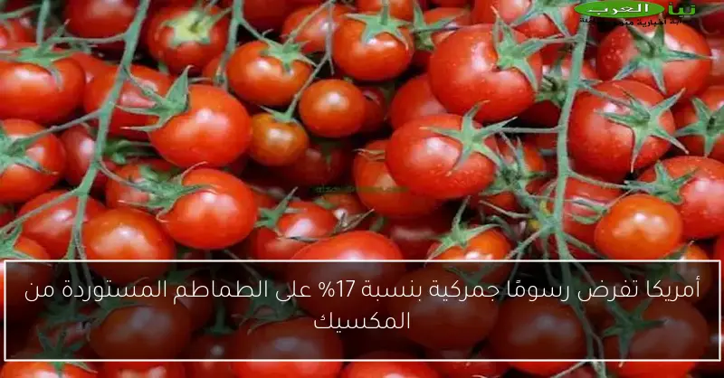 أمريكا تفرض رسومًا جمركية بنسبة 17% على الطماطم المستوردة من المكسيك