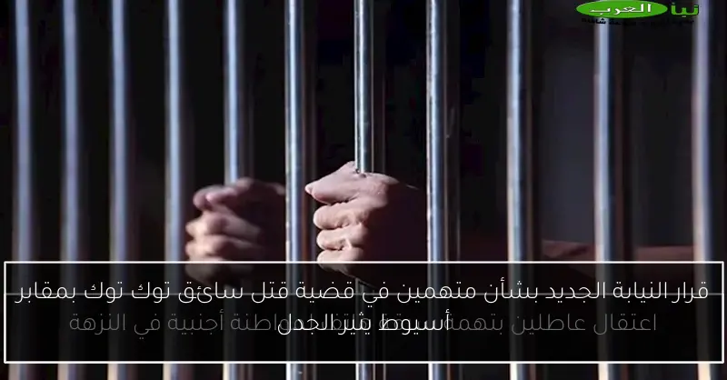قرار النيابة الجديد بشأن متهمين في قضية قتل سائق توك توك بمقابر أسيوط يثير الجدل
