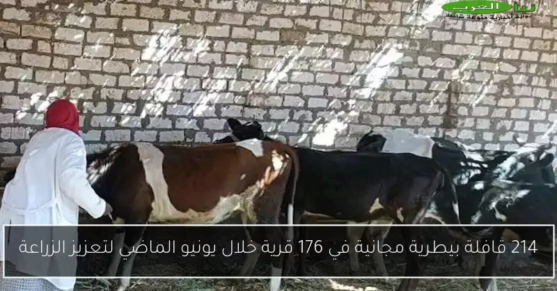 214 قافلة بيطرية مجانية في 176 قرية خلال يونيو الماضي لتعزيز الزراعة