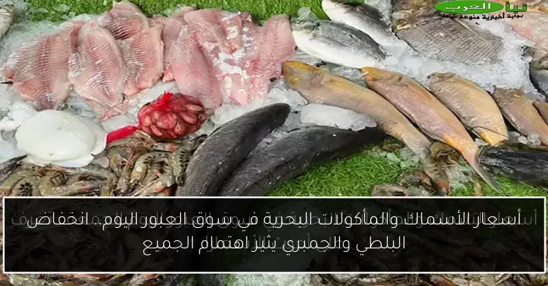 أسعار الأسماك والمأكولات البحرية في سوق العبور اليوم.. انخفاض البلطي والجمبري يثير اهتمام الجميع