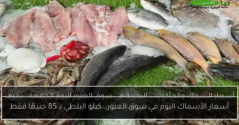 أسعار الأسماك اليوم في سوق العبور.. كيلو البلطي بـ 85 جنيهًا فقط
