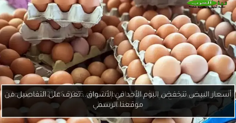 أسعار البيض تنخفض اليوم الأحد في الأسواق.. تعرف على التفاصيل من موقعنا الرسمي