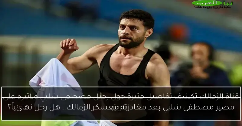 مصير مصطفى شلبي بعد مغادرته معسكر الزمالك.. هل رحل نهائياً؟