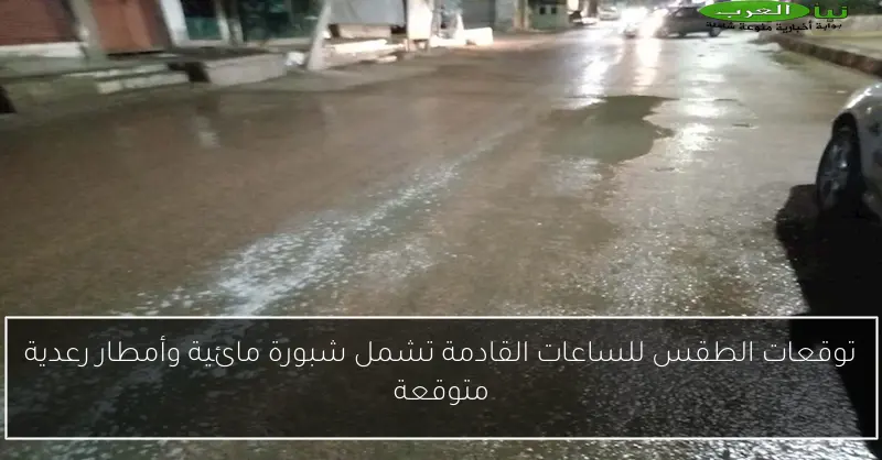 توقعات الطقس للساعات القادمة تشمل شبورة مائية وأمطار رعدية متوقعة