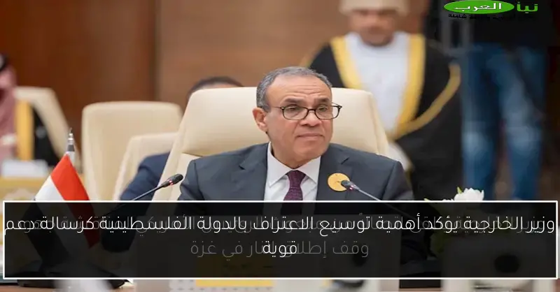 وزير الخارجية يؤكد أهمية توسيع الاعتراف بالدولة الفلسطينية كرسالة دعم قوية