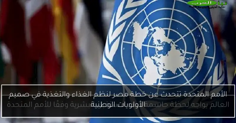 الأمم المتحدة تتحدث عن خطة مصر لنظم الغذاء والتغذية في صميم الأولويات الوطنية