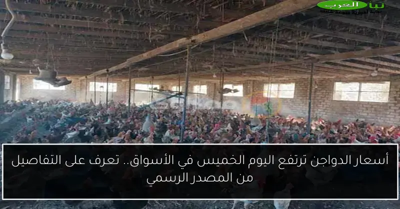 أسعار الدواجن ترتفع اليوم الخميس في الأسواق.. تعرف على التفاصيل من المصدر الرسمي