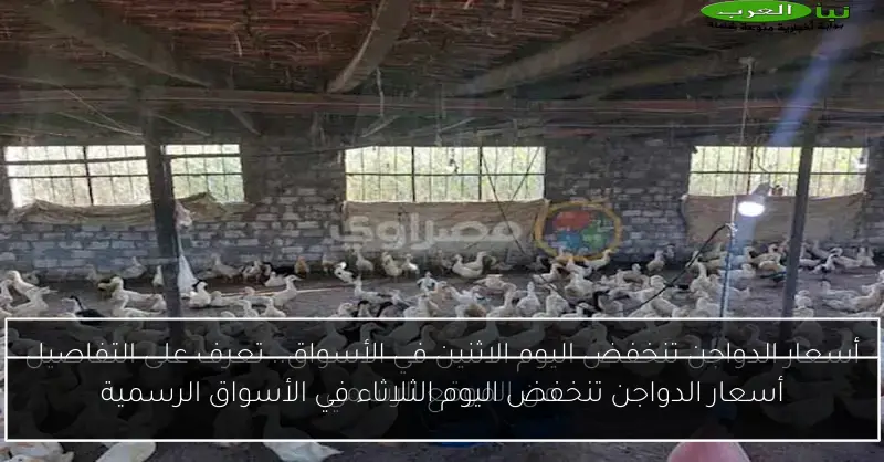 أسعار الدواجن تنخفض اليوم الثلاثاء في الأسواق الرسمية