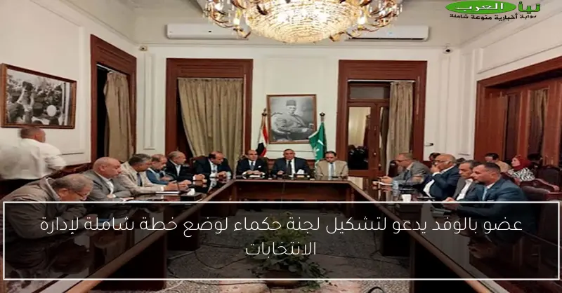 عضو بالوفد يدعو لتشكيل لجنة حكماء لوضع خطة شاملة لإدارة الانتخابات