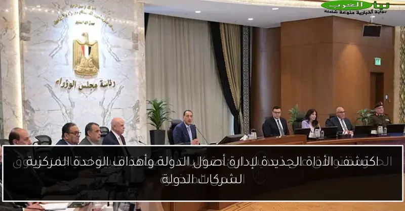 اكتشف الأداة الجديدة لإدارة أصول الدولة وأهداف الوحدة المركزية لشركات الدولة