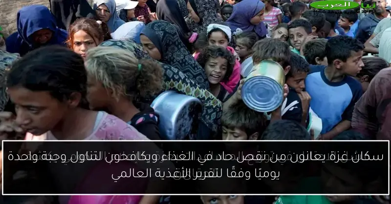 سكان غزة يعانون من نقص حاد في الغذاء ويكافحون لتناول وجبة واحدة يوميًا وفقًا لتقرير الأغذية العالمي